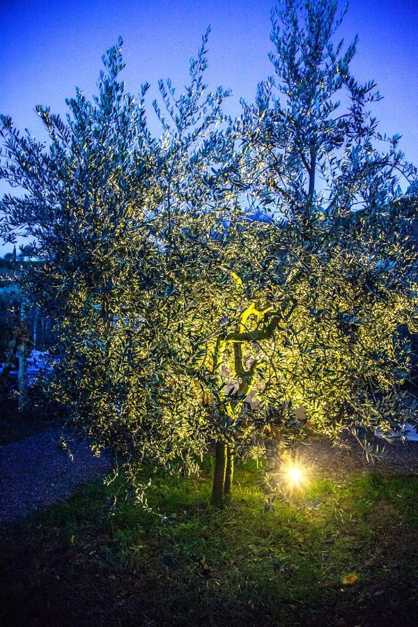 Agriturismo I Roseti Montepulciano Stazione エクステリア 写真