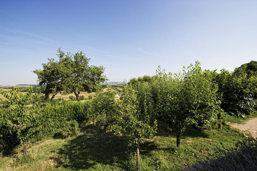 Agriturismo I Roseti Montepulciano Stazione 部屋 写真