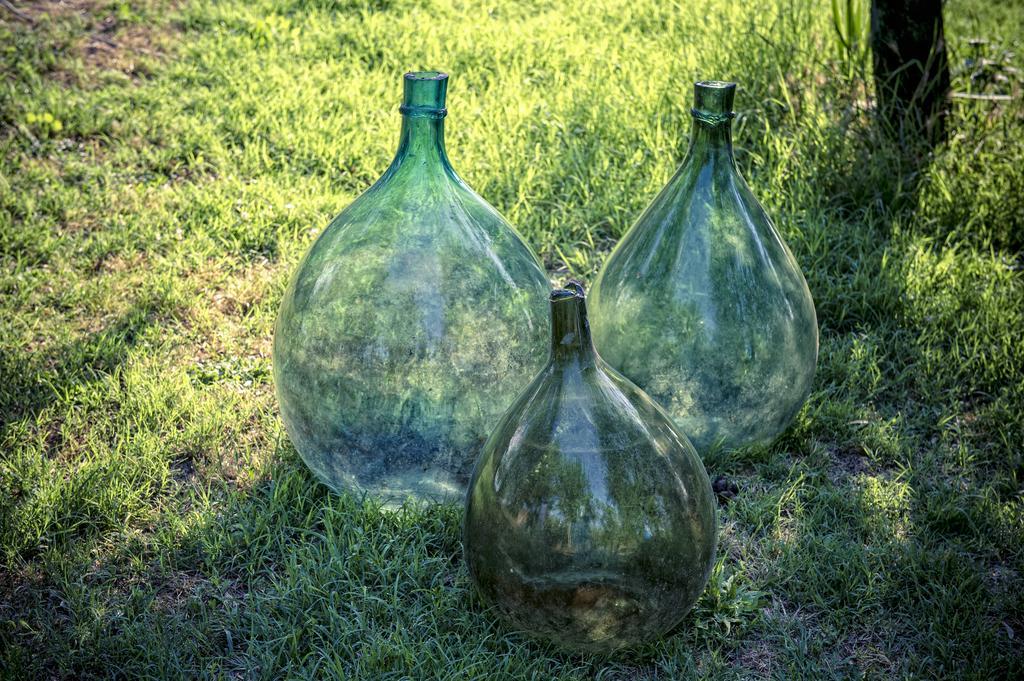 Agriturismo I Roseti Montepulciano Stazione エクステリア 写真