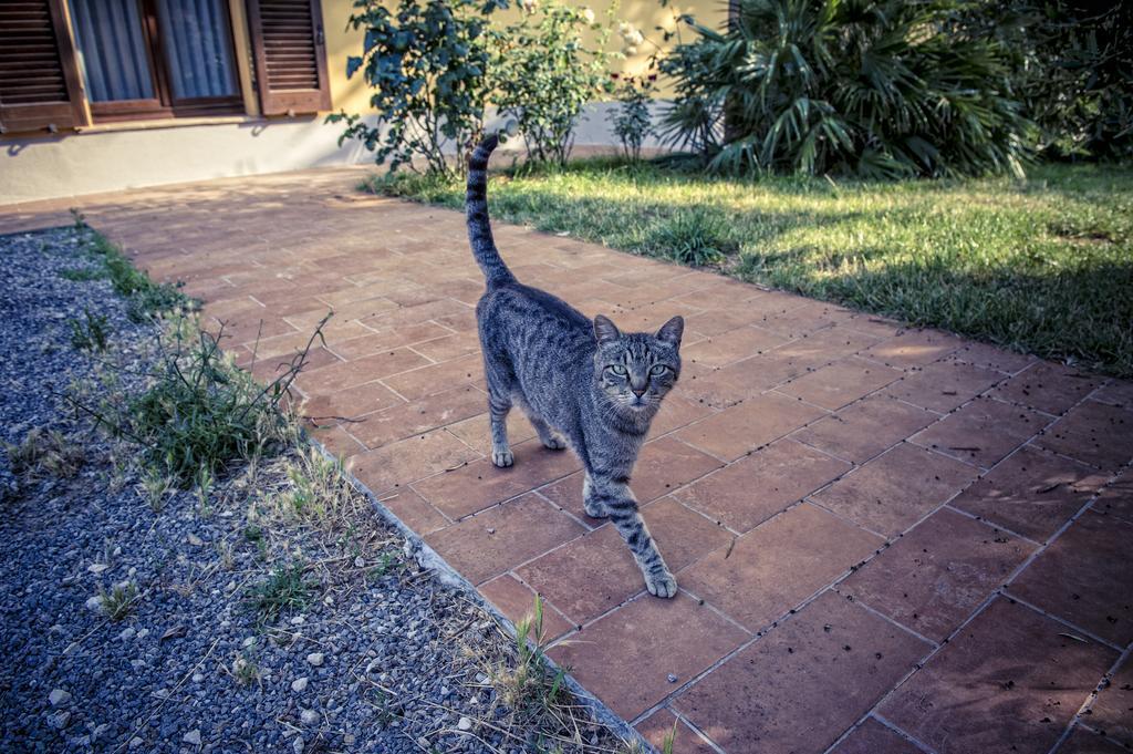 Agriturismo I Roseti Montepulciano Stazione エクステリア 写真