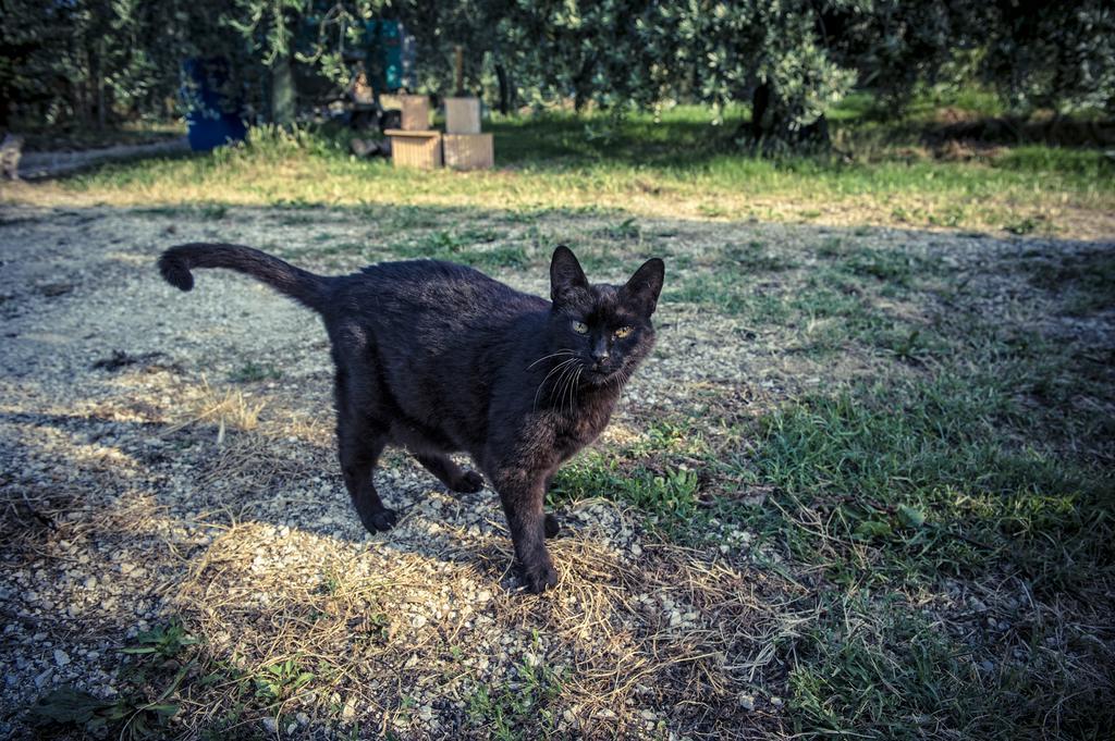 Agriturismo I Roseti Montepulciano Stazione エクステリア 写真